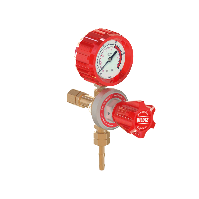 CNG Point of Use Pressure Regulator