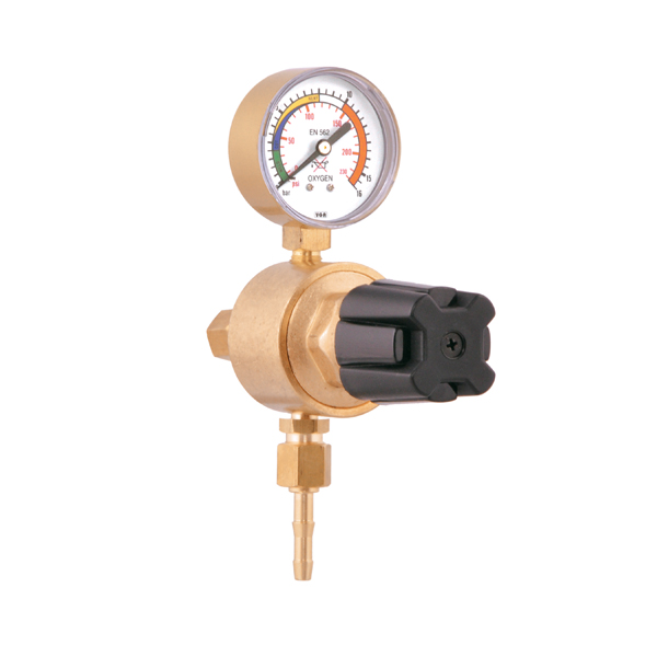 CNG Point of Use Pressure Regulator