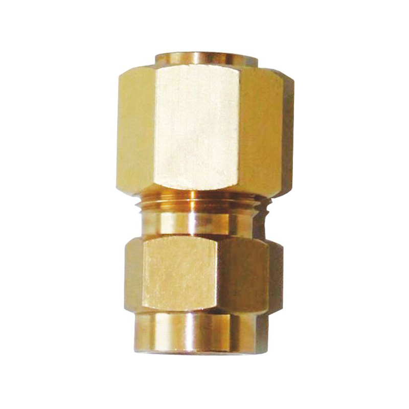 Inert Gas Check Valve